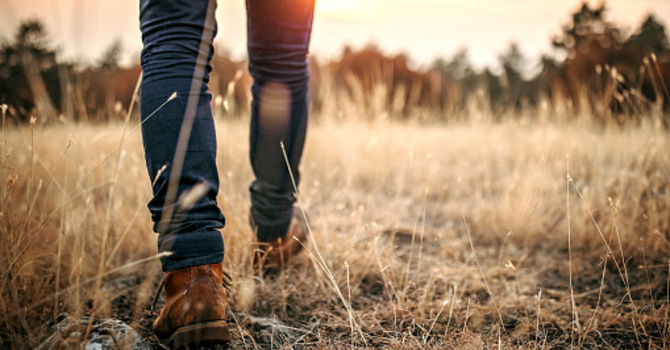 Things to Consider Before Starting Therapy